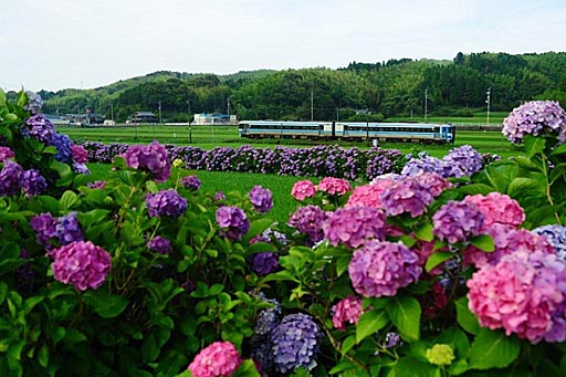 牟岐線 新野~阿波福井間