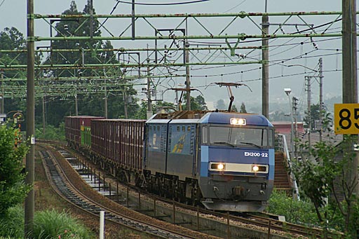 上越国際スキー場前駅を通過する2082レ