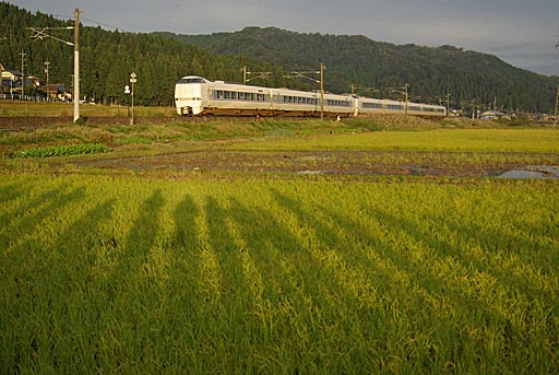 「しらさぎ2号」通過の頃には朝陽が差す
