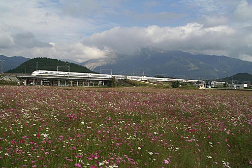 300系新幹線も3本撮影